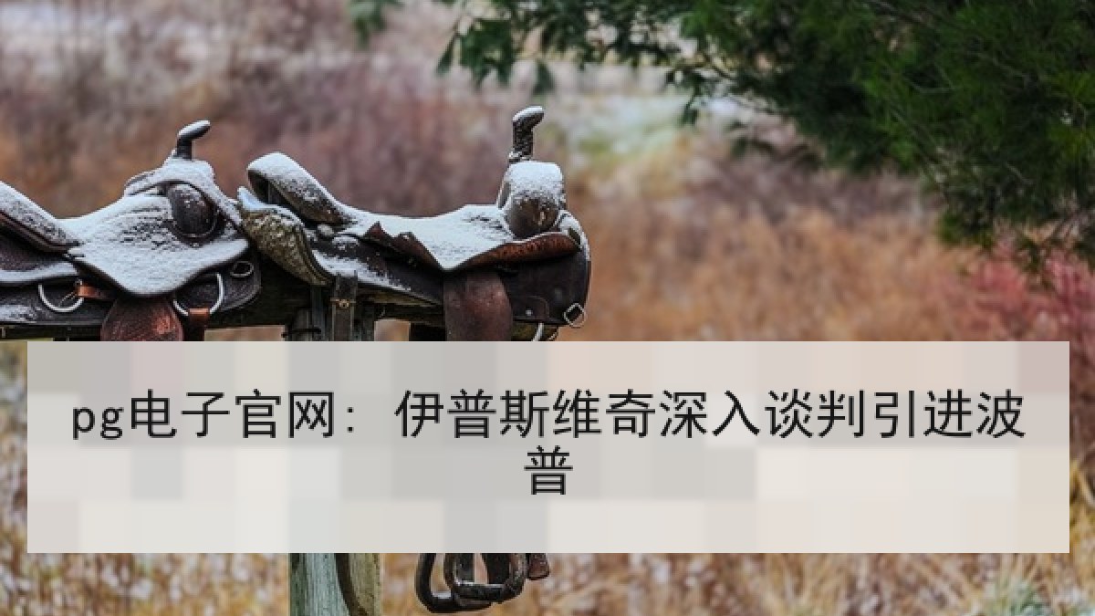 pg电子官网: 伊普斯维奇深入谈判引进波普
