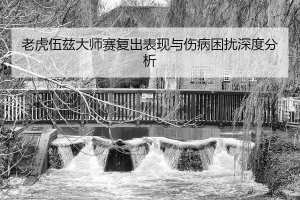 lao-hu-wu-zi-da-shi-sai-fu-chu-biao-xian-yu-shang-bing-kun-rao-shen-du-fen-xi-3-361.jpg