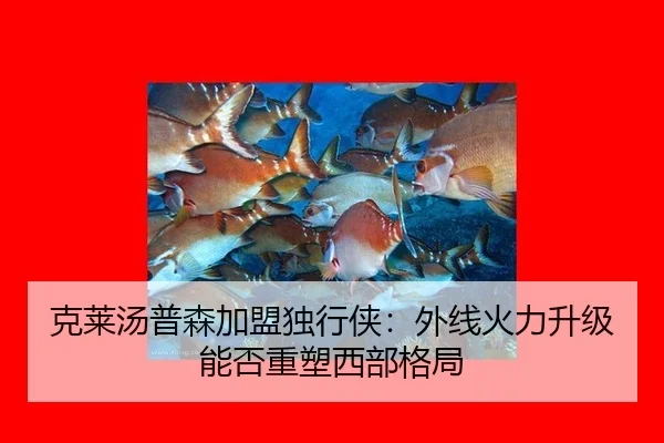 克莱汤普森加盟独行侠：外线火力升级能否重塑西部格局