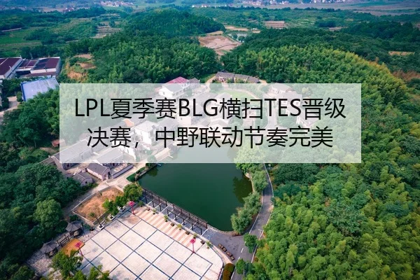 LPL夏季赛BLG横扫TES晋级决赛，中野联动节奏完美