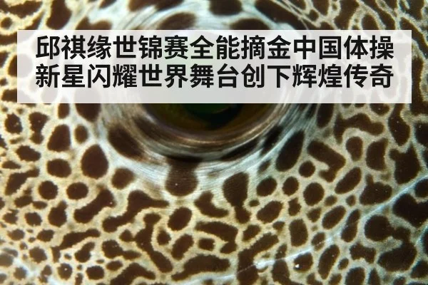 邱祺缘世锦赛全能摘金中国体操新星闪耀世界舞台创下辉煌传奇