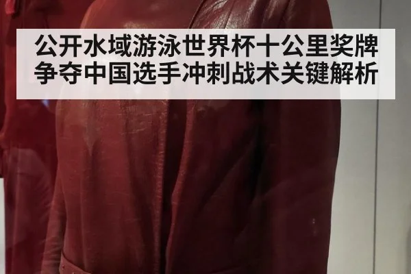 公开水域游泳世界杯十公里奖牌争夺中国选手冲刺战术关键解析